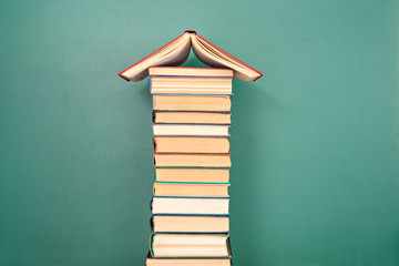 太阳花的寓意和花语