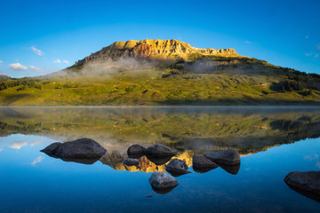 食育教育的内容是什么-