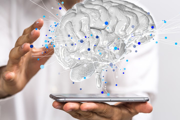 仿生学研究成果有哪些