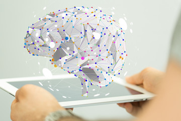 太阳花的寓意和花语