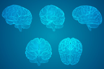 我国的礼仪主要有八礼四仪。