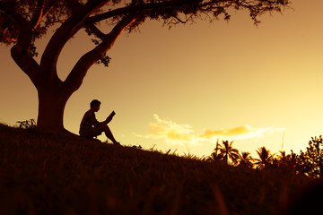 食育教育的内容是什么-