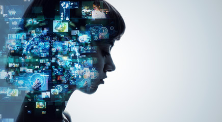 沈阳24小时宠物医院哪里有