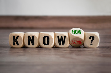 仿生学研究成果有哪些