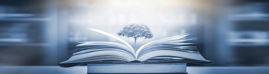 我国的礼仪主要有八礼四仪。