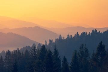 食育教育的内容是什么-