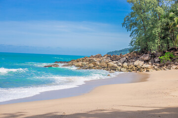 课外阅读手抄报大全