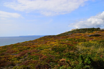 卫生院健康教育技术专项