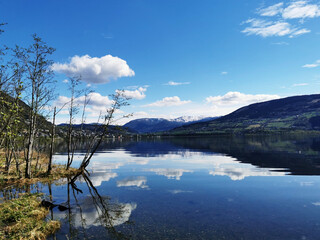 心理健康手抄报内容