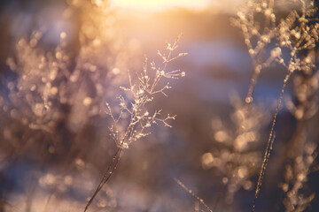 课外阅读手抄报大全