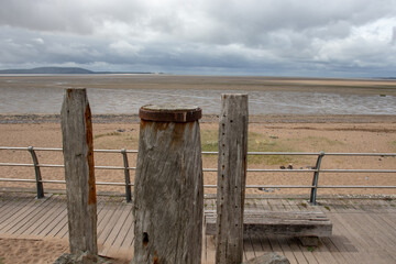 食育教育的内容是什么-