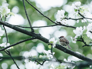 课外阅读手抄报大全