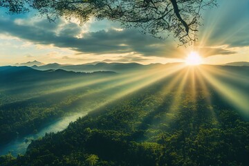 太阳花的寓意和花语
