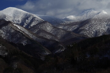 数学发展史500-600字 急求啊
