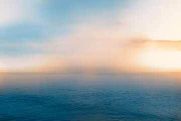 太阳花的寓意和花语