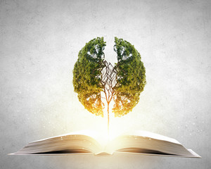 仿生学研究成果有哪些