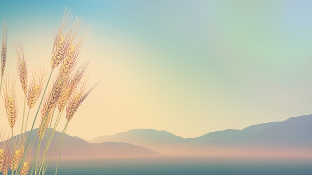 课外阅读手抄报大全