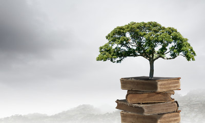 课外阅读手抄报大全