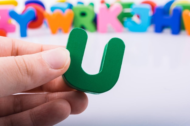 太阳花的寓意和花语