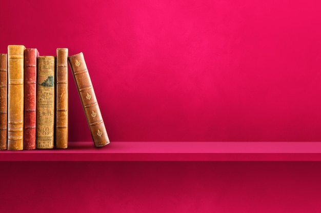 《汪汪队终极救援》是哪一季哪一集？