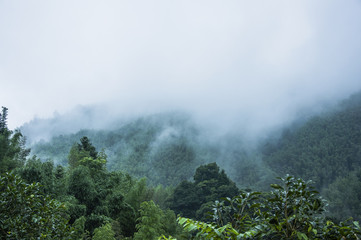 神农坛风景名胜区的主要景点