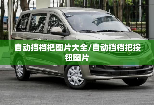 自动挡档把图片大全/自动挡档把按钮图片