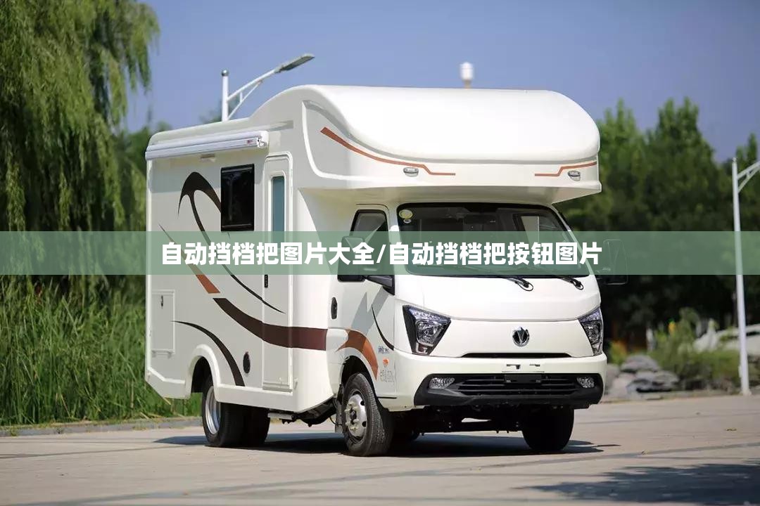 自动挡档把图片大全/自动挡档把按钮图片