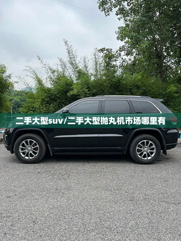 二手大型suv/二手大型抛丸机市场哪里有