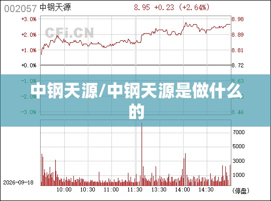 中钢天源/中钢天源是做什么的