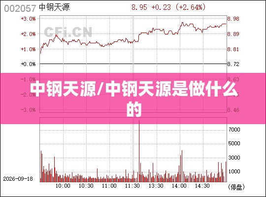 中钢天源/中钢天源是做什么的