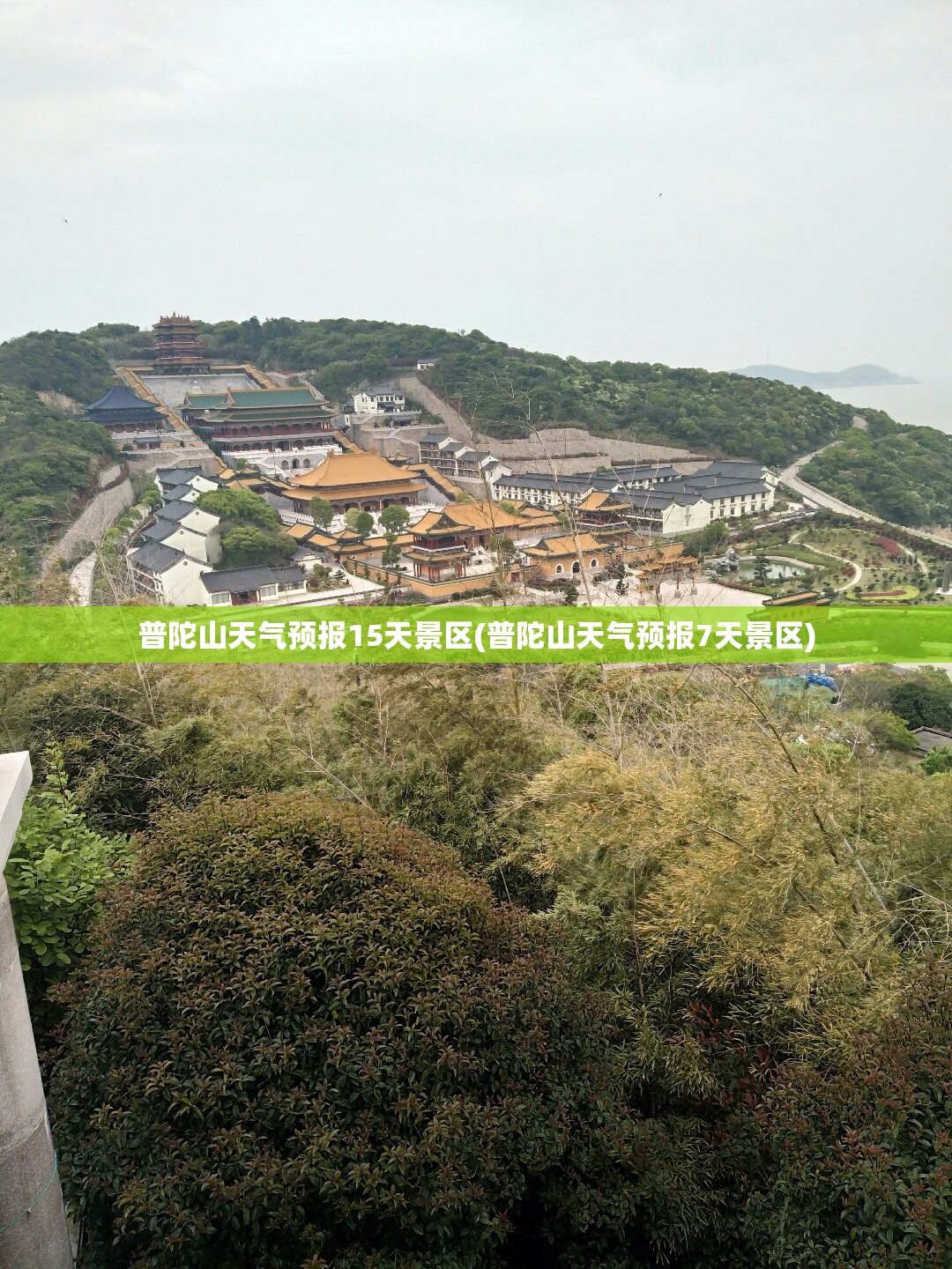普陀山天气预报15天景区(普陀山天气预报7天景区)
