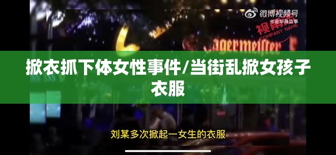 掀衣抓下体女性事件/当街乱掀女孩子衣服