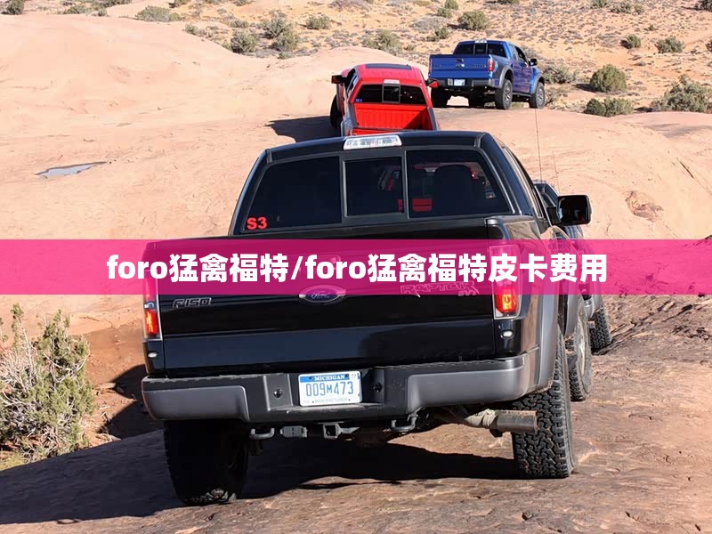 foro猛禽福特/foro猛禽福特皮卡费用