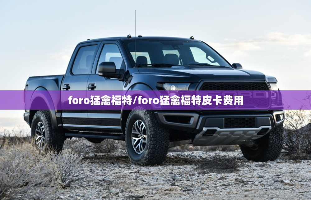 foro猛禽福特/foro猛禽福特皮卡费用