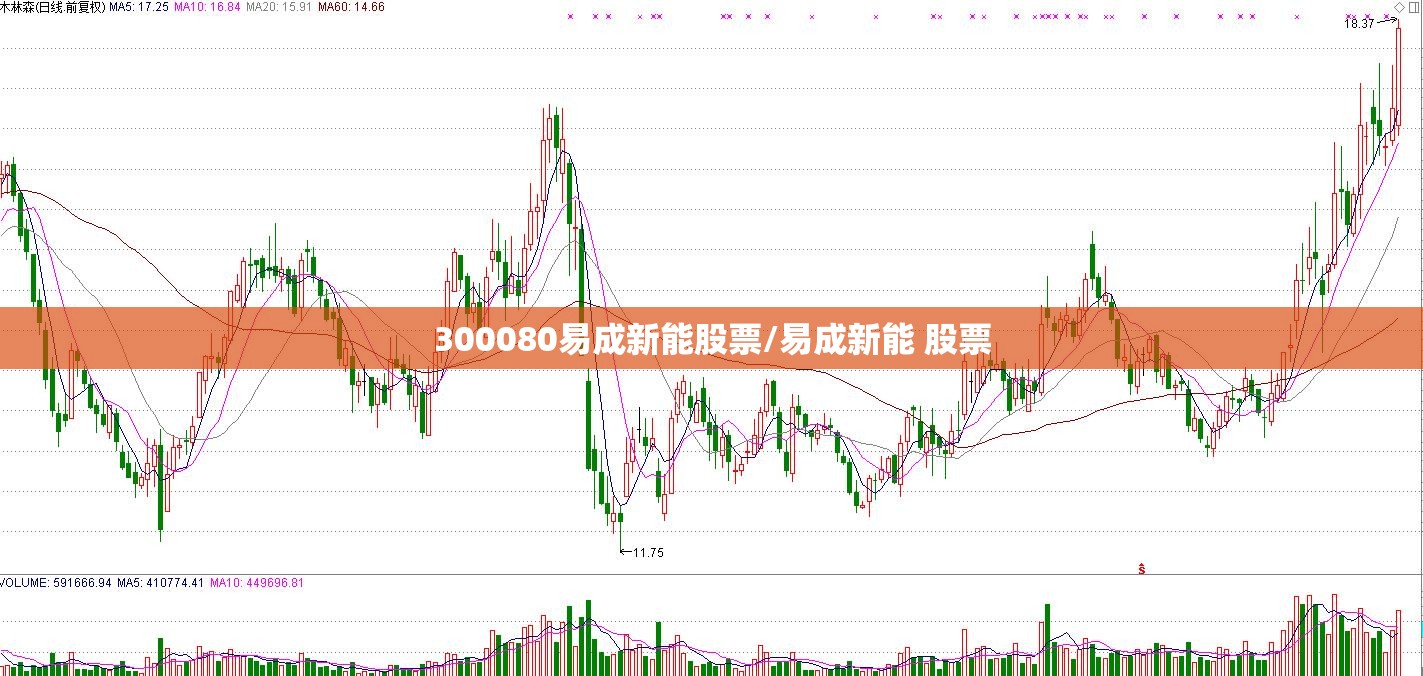 300080易成新能股票/易成新能 股票