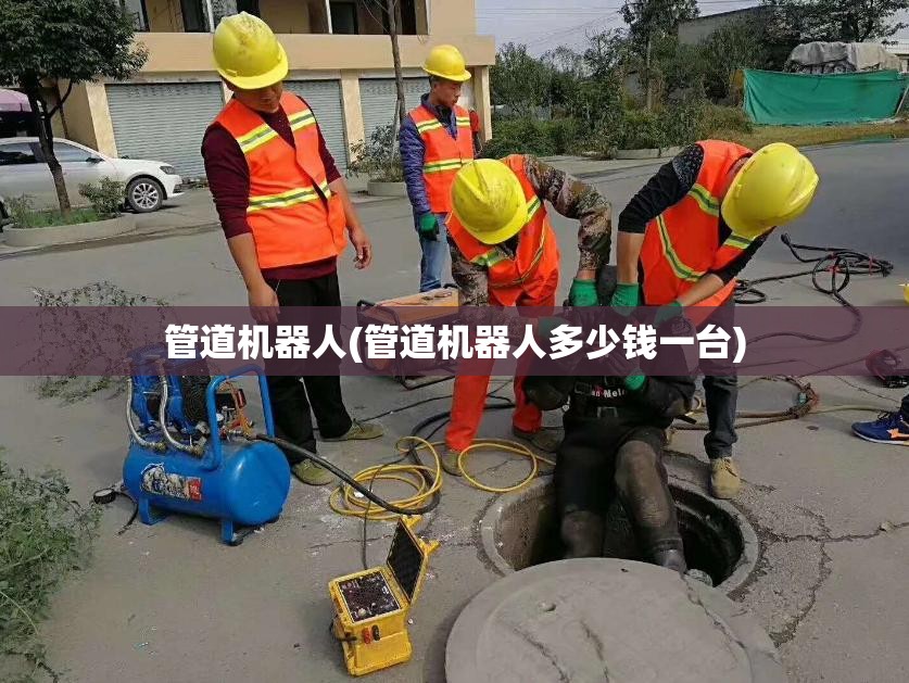 管道机器人(管道机器人多少钱一台) 管道机器人(管道机器人多少钱一台)