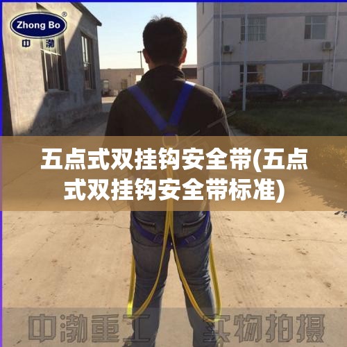 五点式双挂钩安全带(五点式双挂钩安全带标准)