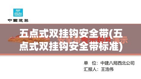 五点式双挂钩安全带(五点式双挂钩安全带标准)