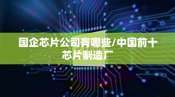 国企芯片公司有哪些/中国前十芯片制造厂