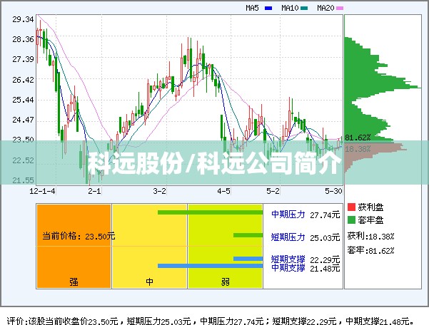 科远股份/科远公司简介
