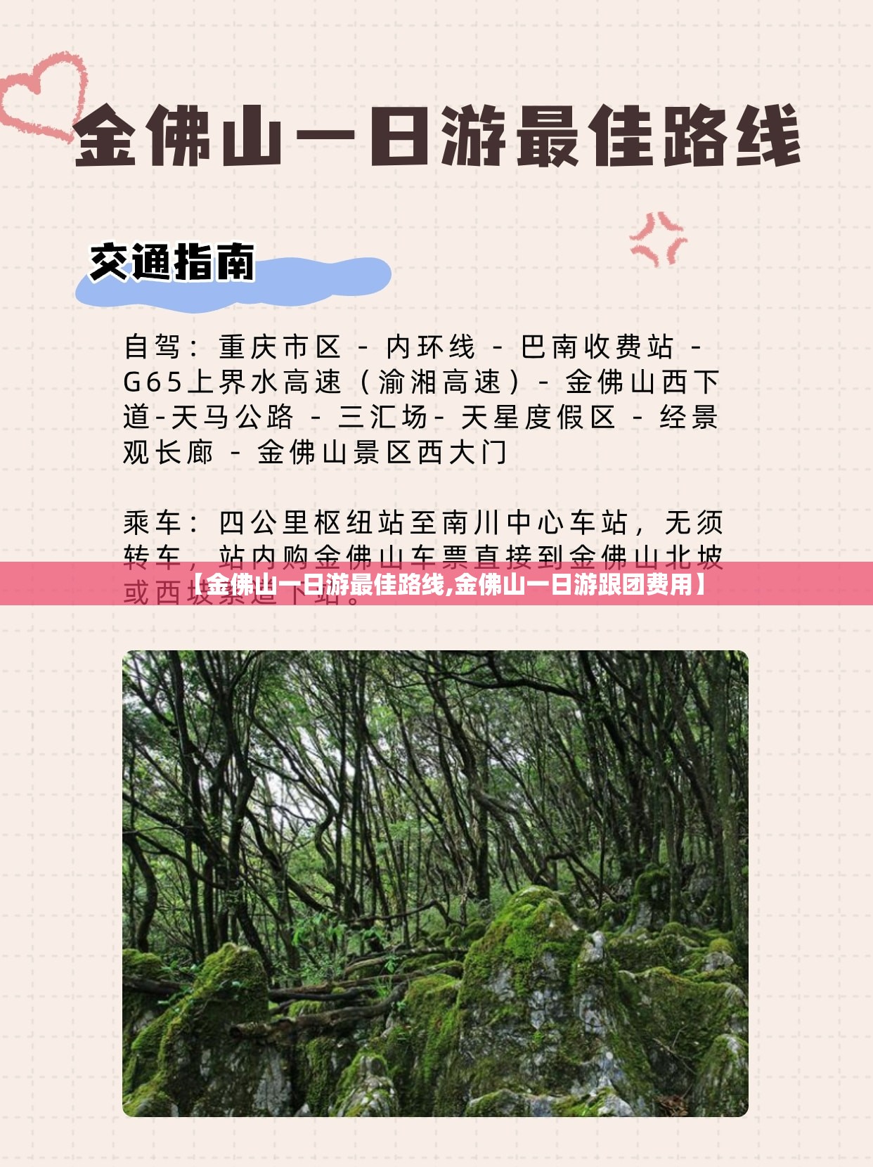 【金佛山一日游最佳路线,金佛山一日游跟团费用】