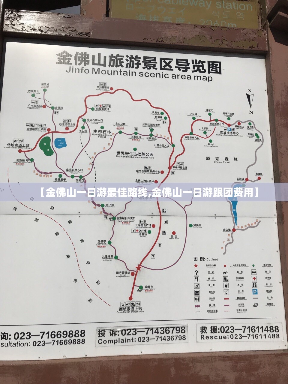 【金佛山一日游最佳路线,金佛山一日游跟团费用】