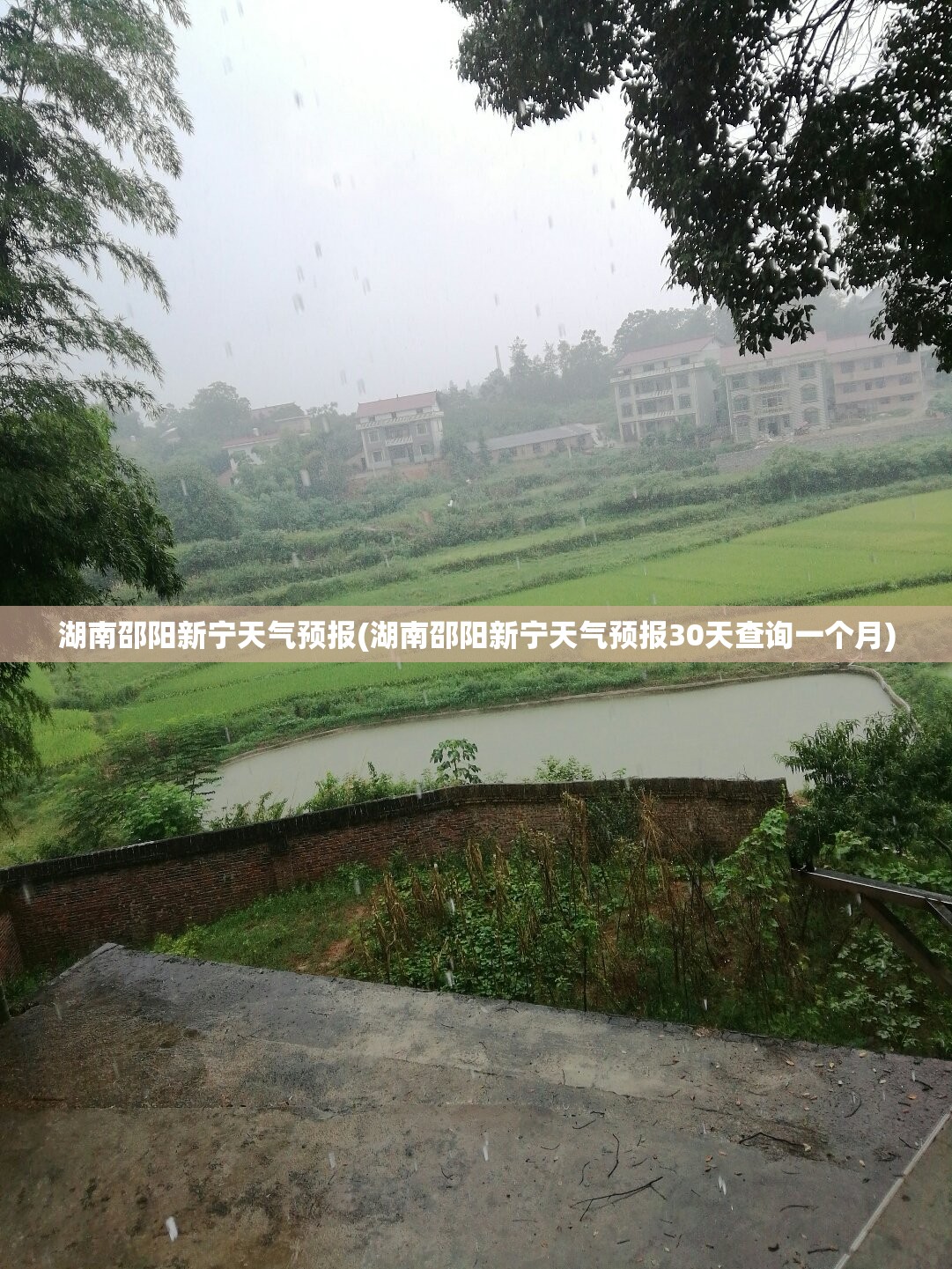 湖南邵阳新宁天气预报(湖南邵阳新宁天气预报30天查询一个月)