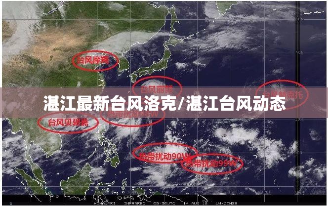 湛江最新台风洛克/湛江台风动态