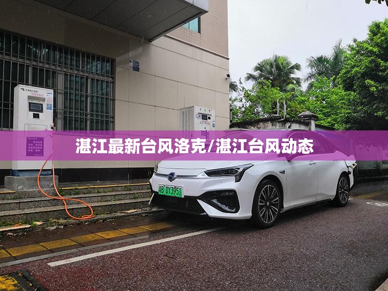 湛江最新台风洛克/湛江台风动态