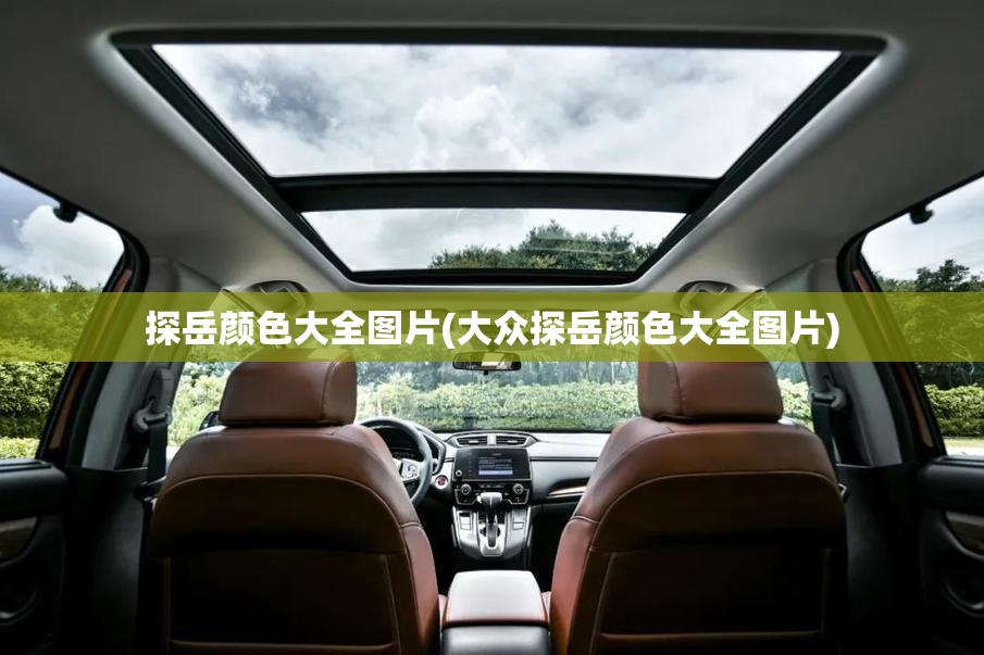 探岳颜色大全图片(大众探岳颜色大全图片)