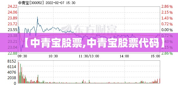 【中青宝股票,中青宝股票代码】