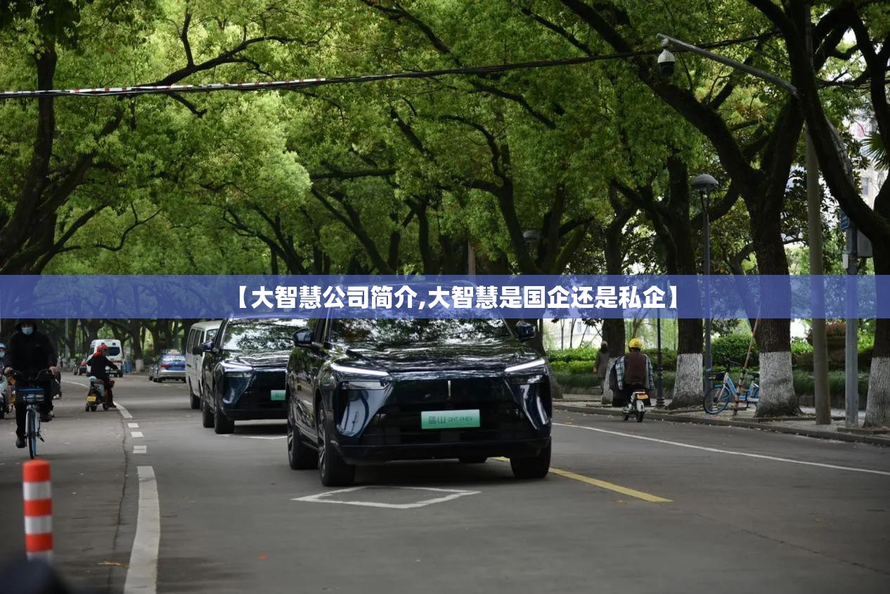 【大智慧公司简介,大智慧是国企还是私企】 【大智慧公司简介,大智慧是国企还是私企】