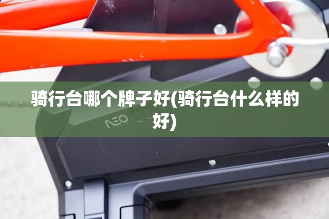 骑行台哪个牌子好(骑行台什么样的好)