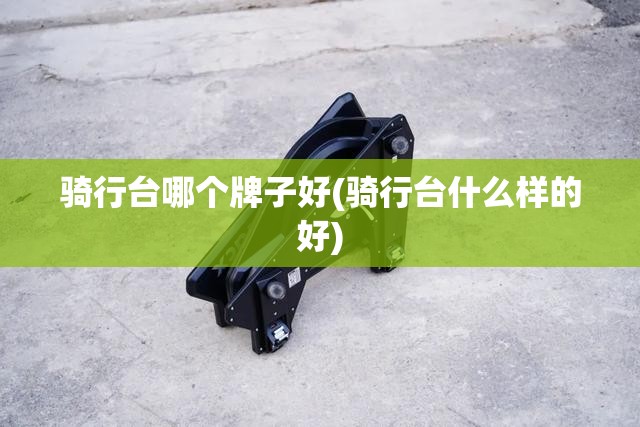 骑行台哪个牌子好(骑行台什么样的好)